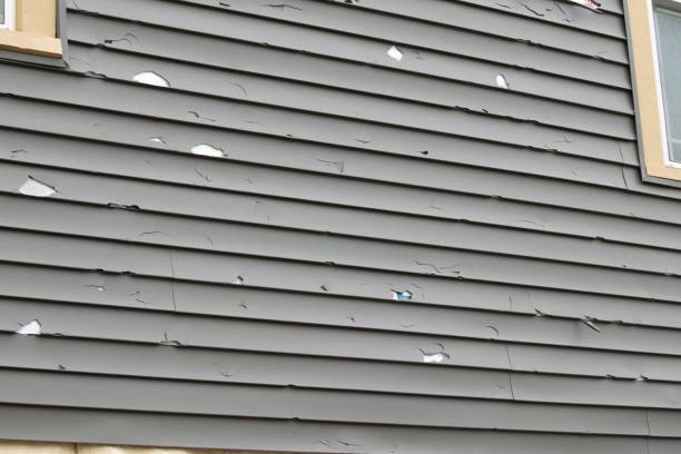 Best Storm Damage Siding Repair  in Smyrna, GA